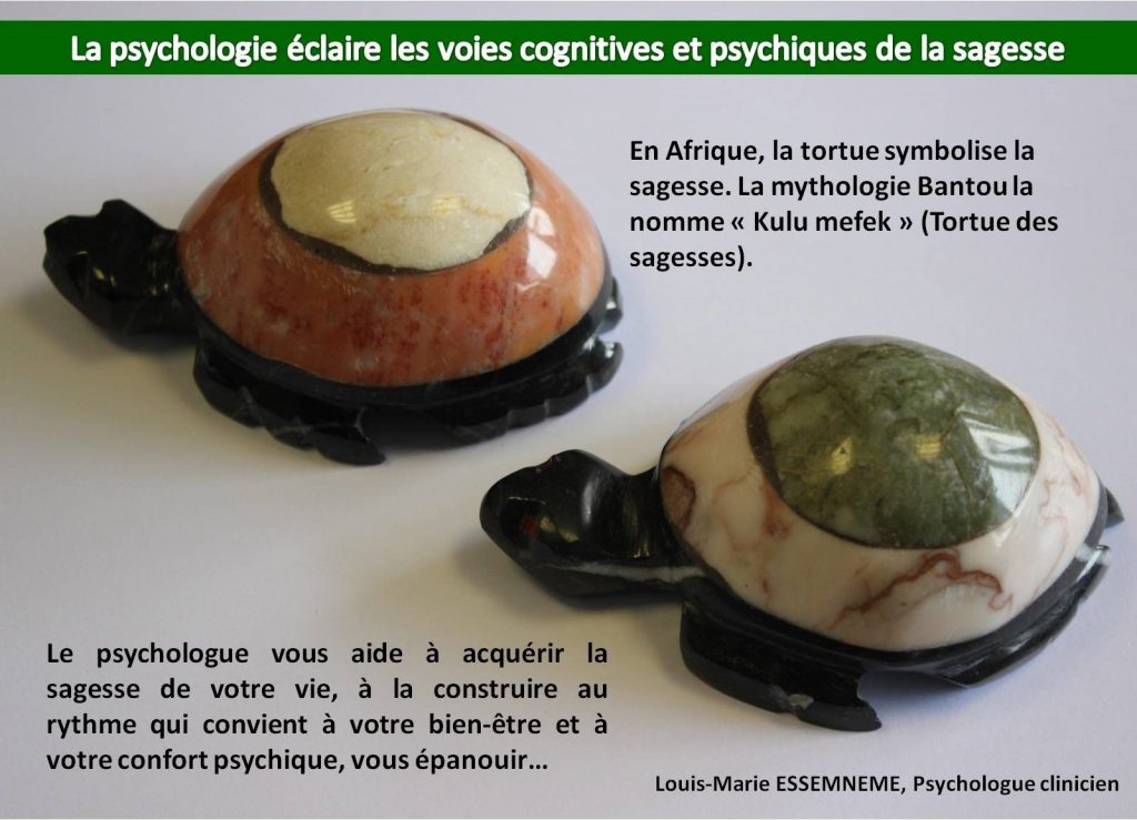 Sagesse et psyché - psychologue bron essemneme